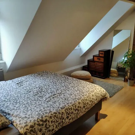 Gutenberg's With Parking Apartment Strasbourg